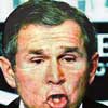 Голова Буша