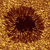 Transformation of sun spots