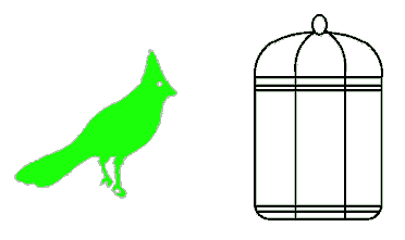 A bird in a cage.