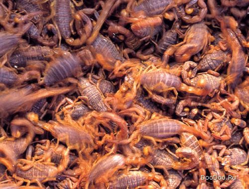 В Таиланде, самые дешевые блюда из насекомых - это кузнечики и муравьи, самое дорогое - запеченный скорпион.