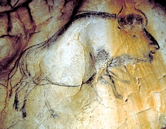 Изображение бизона с наложением двух позиций ног. Фото M. Azema, J. Clottes, Chauvet Cave scientific team