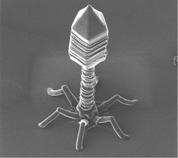 Искуственный наноробот Бактериофаг