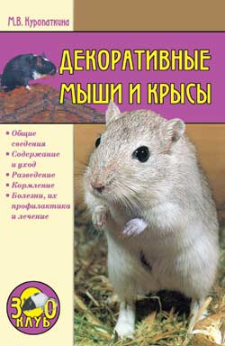 Декоративные мыши и крысы