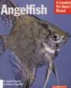 Angelfish Скалярии